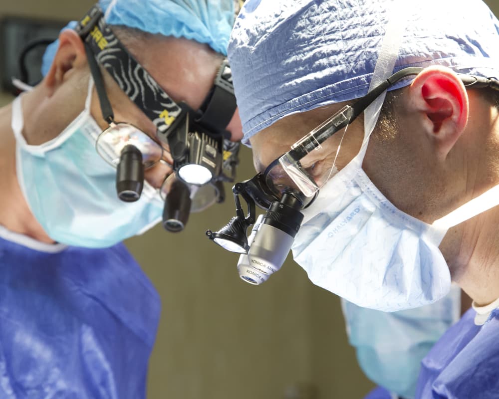 Contact Face The Future